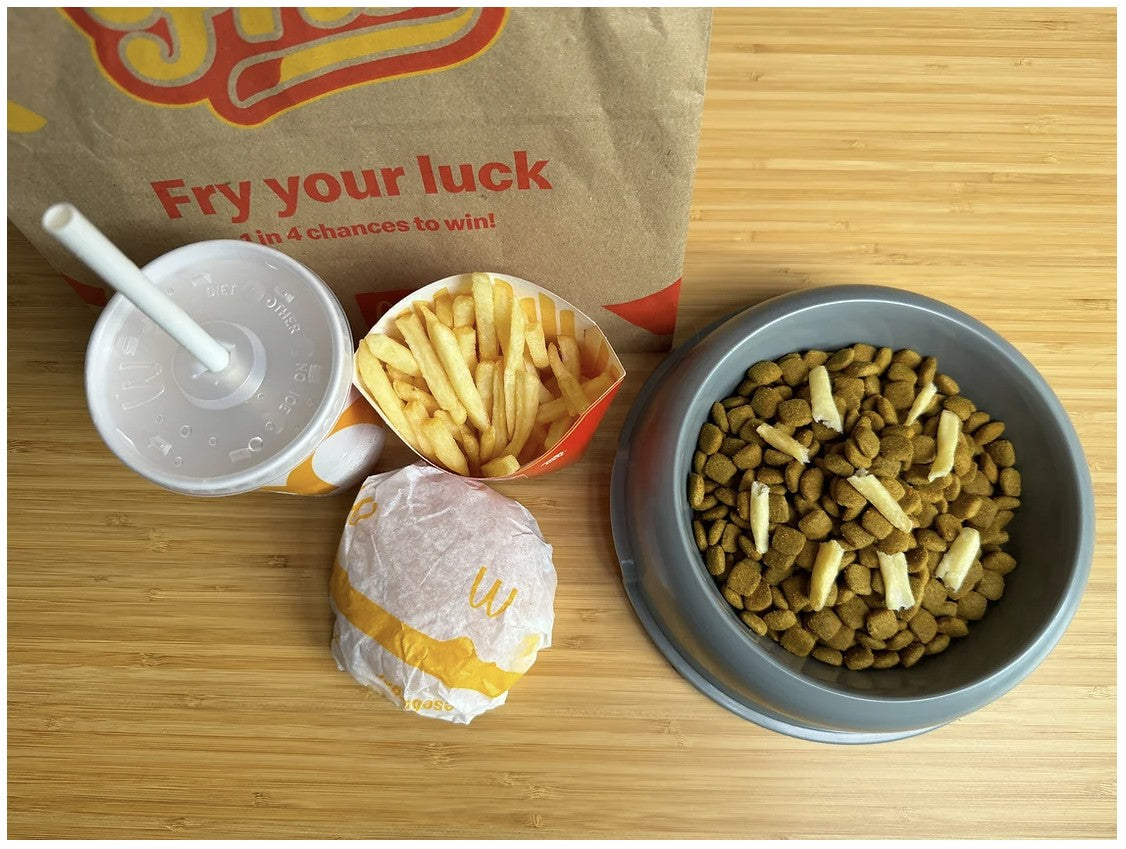 Is kibble and canned food ultra-processed and bad for my pet?