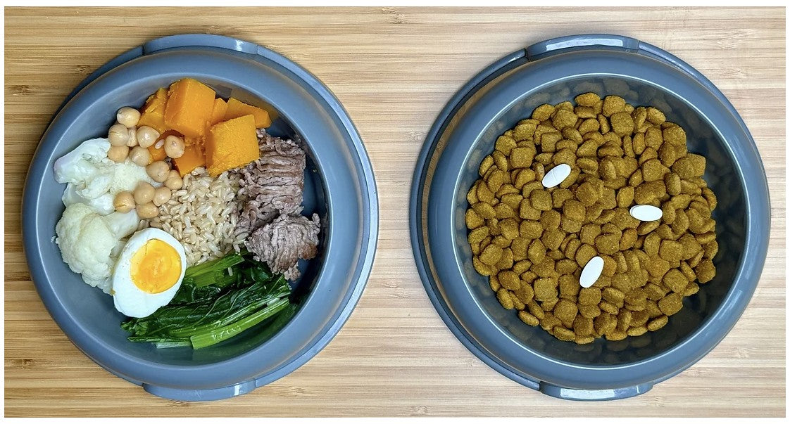 Ultra-processed pet food: natural vs synthetic nutrients