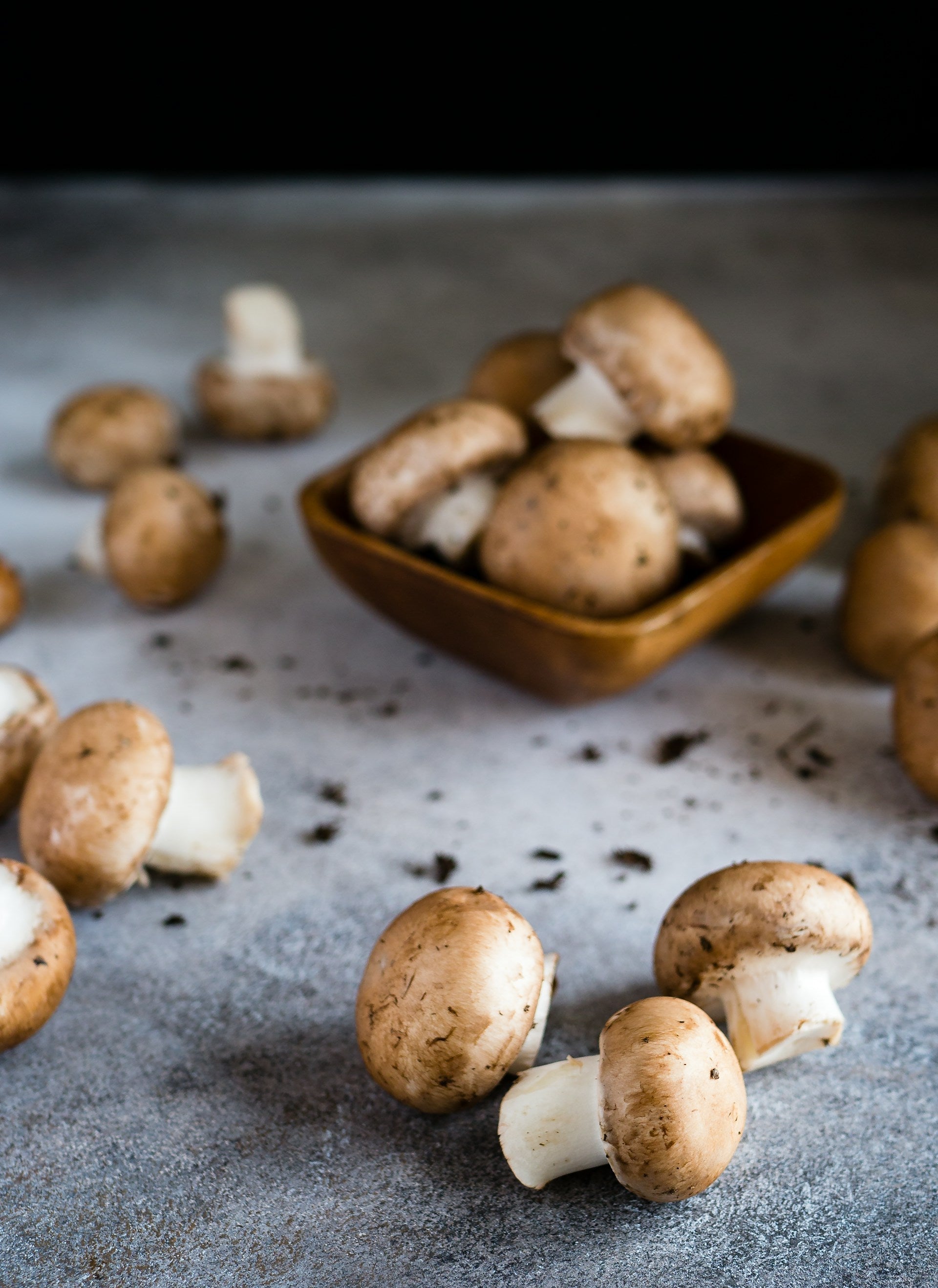Are mushrooms good for dogs?