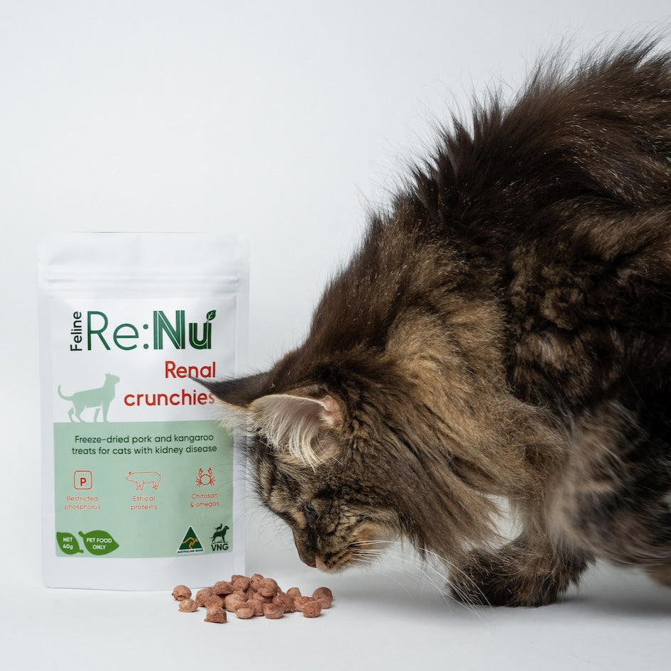 Re:Nu Renal crunchies