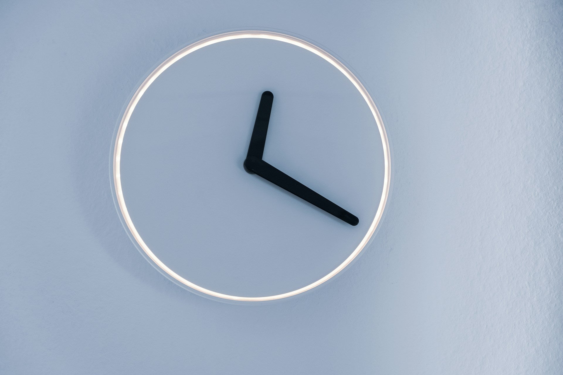 Could intermittent fasting be a healthier way to feed dogs?