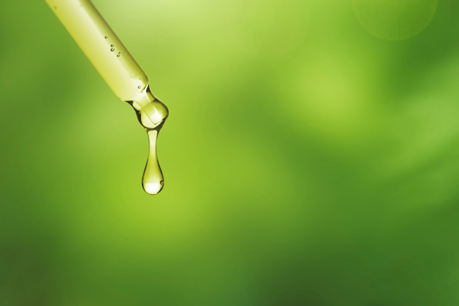 Marine algae oil for dogs and cats - the ultimate omega-3?