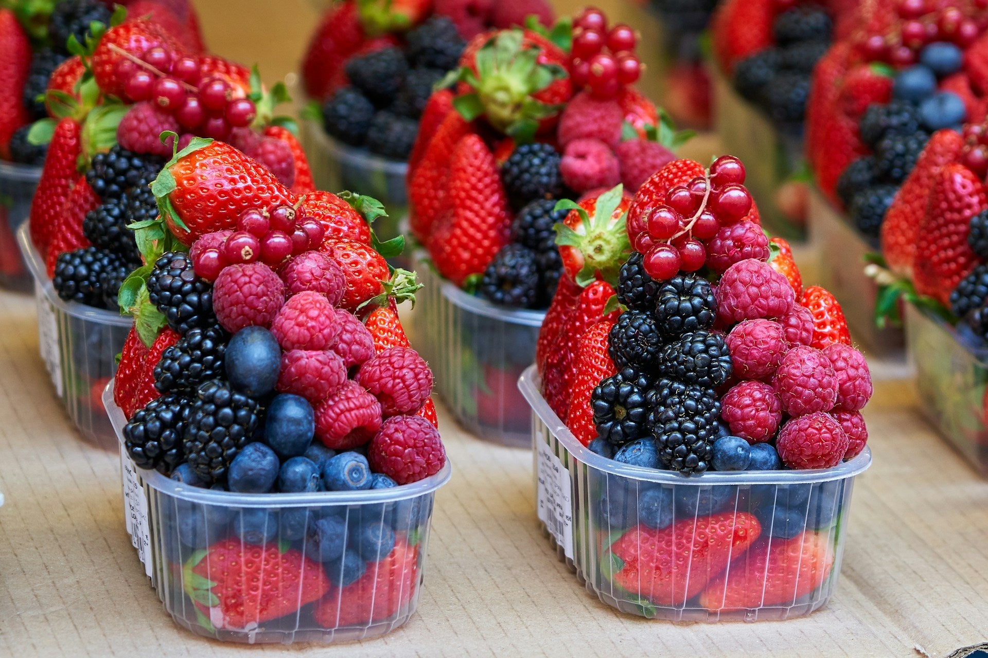 Health benefits of anthocyanins for dogs and cats